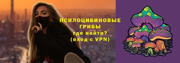 метадон Ладушкин