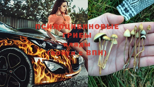 мяу мяу мука Лагань