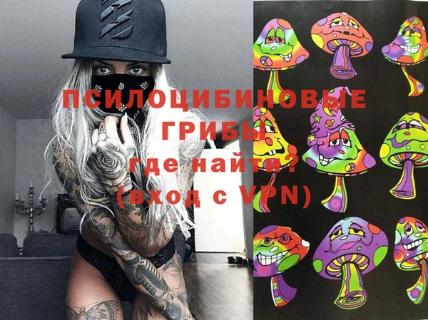 метадон Ладушкин